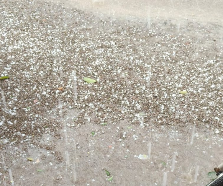 बारिश के साथ गिरे ओले