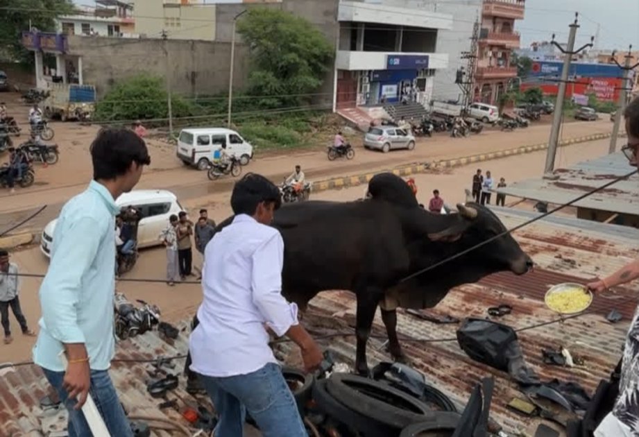 डेढ़ घंटे की मशक्कत के बाद सुरक्षित रेस्क्यू