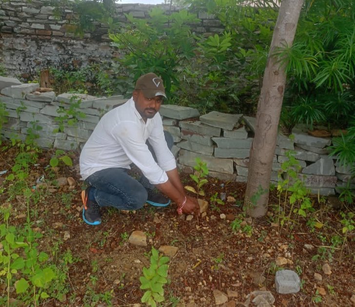 स्कूल स्टाफ ने अपने निजी खर्चे से लगाए छायादार व फलदार पौधे