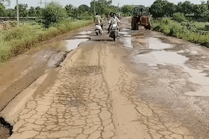 कॉलेज और नर्सरी के सामने बड़े गड्ढों से वाहन चालक परेशान